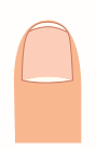 手の爪