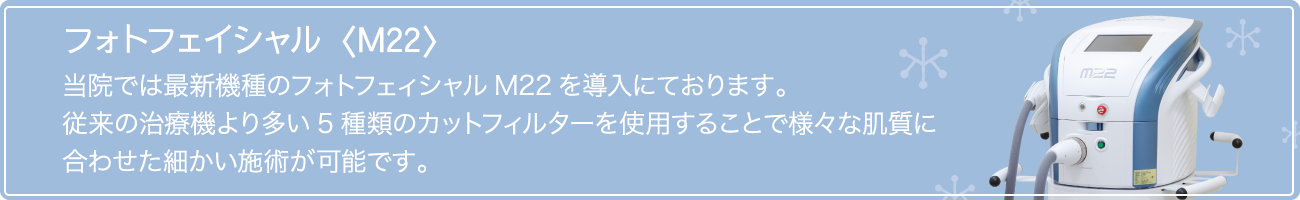 フォトフェイシャル〈M22〉
